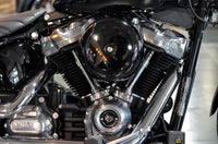 Harley-Davidson, Softail, Standard