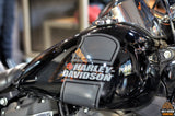 Harley-Davidson Sport Glide (2021)