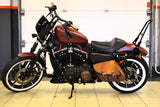 Harley-Davidson Sportster  Iron 883 (2017)