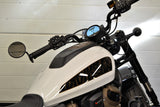 Harley-Davidson Sportster S 2021 (Stone Washed White Pearl)
