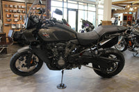 Pan America 1250 River Rock Gray