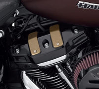 25700779 КОМПЛЕКТ КРЫШЕК ДВИГАТЕЛЯ DOMINION Harley-Davidson- 50% Sale