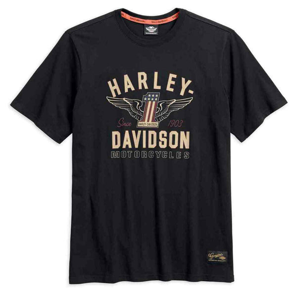 Мужская футболка Harley Davidson