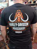 Футболка Harley-Davidson