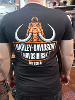 Футболка Harley-Davidson