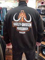 Толстовка мужская Harley-Davidson -70%