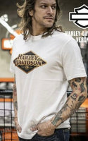 Футболка мужская Harley-Davidson 120th Anniversary